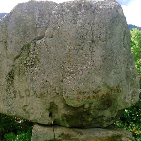 Lilas, Gite Saint Antoine, Orcival, Entre Sancy Et Volcans. エクステリア 写真
