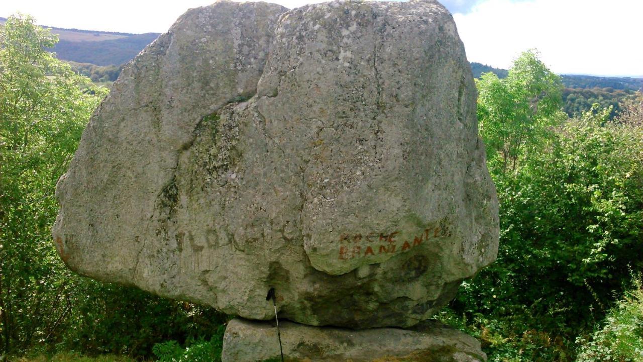 Lilas, Gite Saint Antoine, Orcival, Entre Sancy Et Volcans. エクステリア 写真